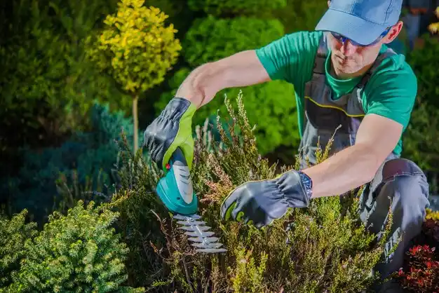 landscaping services Wading River